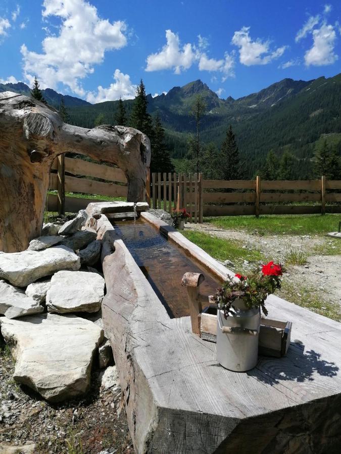 Ampferkaralm Huette Villa Forstau  Bagian luar foto