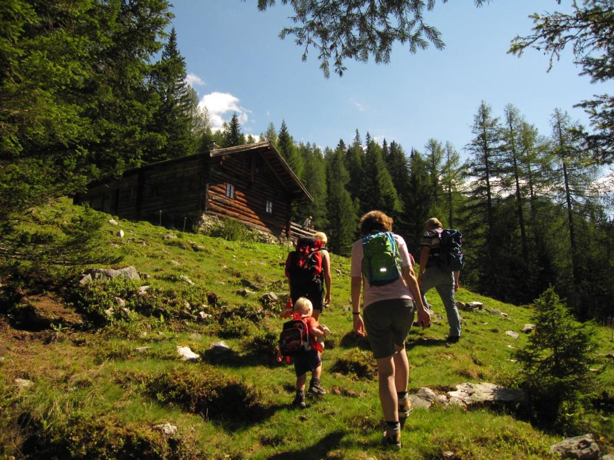 Ampferkaralm Huette Villa Forstau  Bagian luar foto